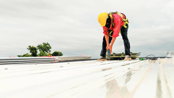 Best Asphalt Shingle Roofing  in Bells, TN